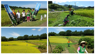 中山間地域支え隊　9月4日　板倉区筒方及び関田　ソーラーライト撤去作業の様子（写真）