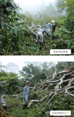 作業によって確保された峠道の写真