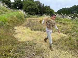 稲わらを担いで運ぶ美濃口さん（拡大）