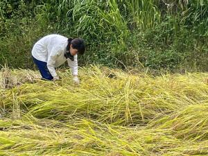 五十嵐めぐみさん（無印良品 直江津）