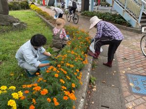 除草作業、花がら摘みの様子（写真）