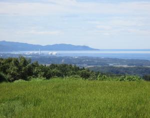 水野の棚田の写真