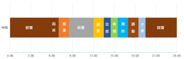 1日のスケジュール（画像）