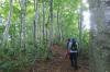 薬師山道　サムネイル　写真