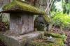 天水分神 サムネイル 写真
