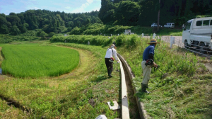 水路の草刈りの様子（写真）