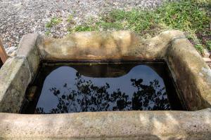 石井戸水の様子　写真