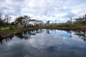 井戸の北側の公園の様子　写真