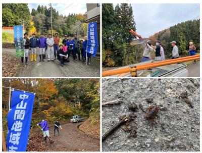 中山間地域支え隊　11月13日　大島区藤尾　側溝清掃　活動の様子（4枚組写真）