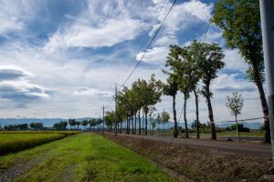 米岡のはさ木道1　写真