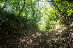 岩手城山　堀切　写真