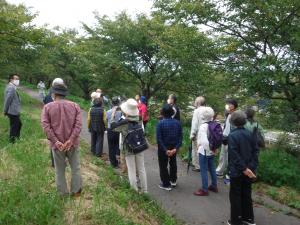 川べりの桜並木の下、NPO法人から桜保全活動の説明を受ける会員の様子（写真）