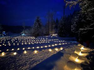 飯田邸近くの雪ほたるの様子（写真）