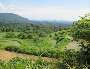 棚田の景色（写真）