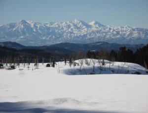 雪景色（写真）