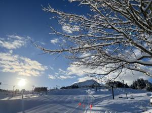 キューピットバレイ　菱ケ岳とゲレンデの冬景色（写真）