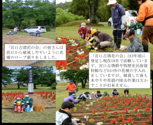 宮口古墳群での花うえの様子（写真）