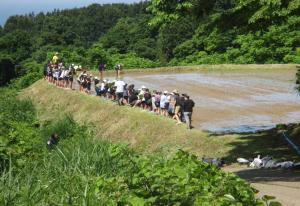 水野で田んぼの脇に並ぶ大潟町小学生の様子（写真）