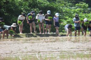 大潟町小学生の水野での田植えの様子（写真）