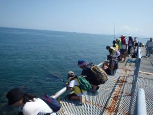 海の交流会の海釣りの様子（写真）