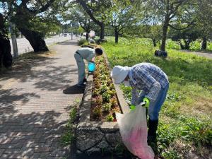 除草作業の様子（写真）