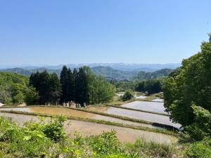 田植え前の棚田（写真）