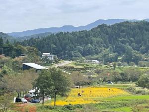 ヤナギバひまわり畑全景（安塚区石橋）（写真）