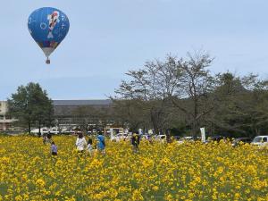 熱気球とお花畑（写真）
