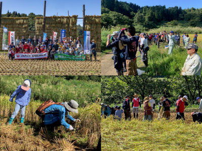 中山間地域支え隊　牧区棚広　稲刈りの様子（写真）