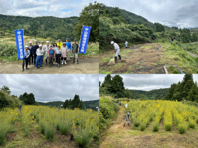 中山間地域支え隊　安塚区朴の木　10月1日　作業の様子（写真）