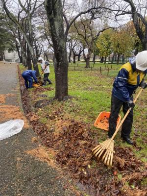 雨水道の落ち葉集め（写真）