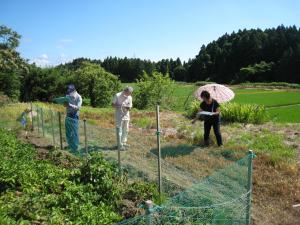 令和5年6月25日　川崎集落環境診断　集落環境調査の様子（写真）