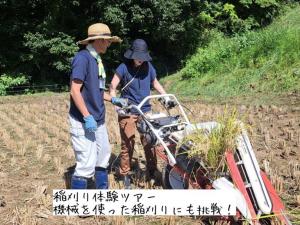 稲刈り体験ツアー　機械での稲刈り（写真）