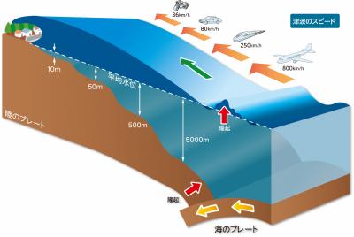 津波発生の仕組みと津波のスピード（イラスト）