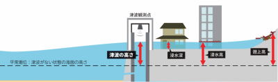 津波の高さと遡上高の違い（イラスト）