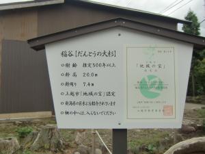 新しい標記板（画像）