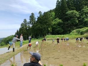 田植えを指導する農家さんの様子（写真）