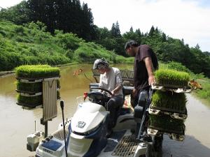 左：田植え機を操る五十嵐めぐみさん（無印良品直江津）　指導する山口将人さん　基本操作の指導中（写真）