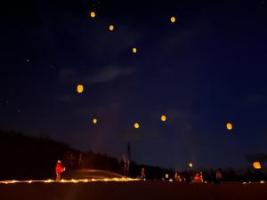 空に舞うユキノアカリ（写真）