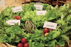 上越産の野菜の展示（詳細）（写真）