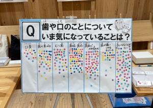 歯の健康に関するアンケート（写真）