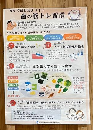 歯の筋トレ習慣に関する展示（写真）