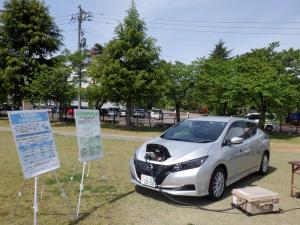 電気自動車の展示