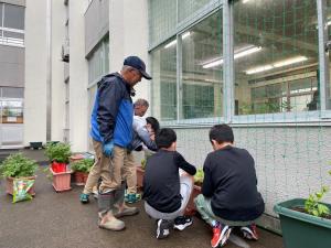 苗を植えている様子