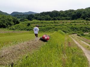 ラジコン草刈機による草刈りの様子（写真）