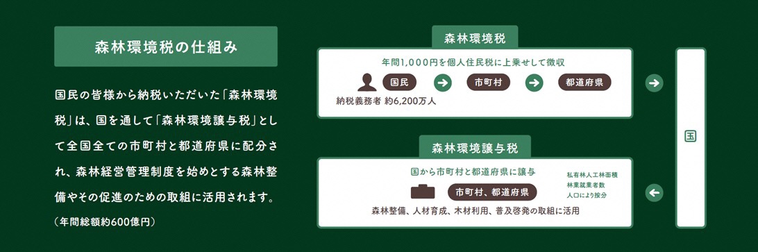 森林環境税の仕組み（図解）