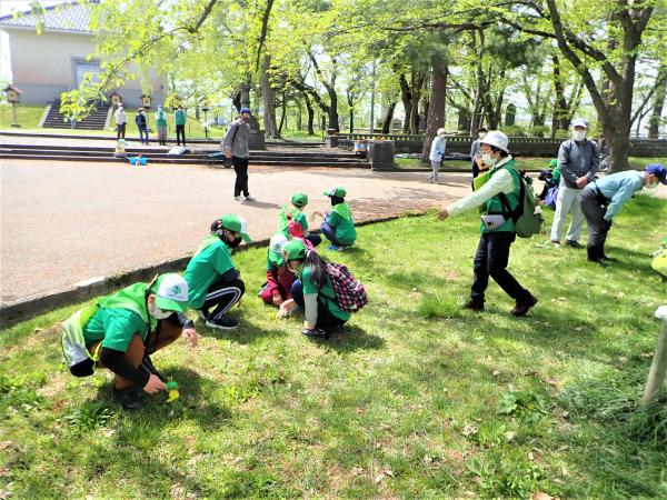 緑の少年団育成活動