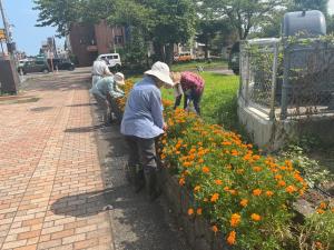 暑い日差しの下での花柄摘みの様子（写真）