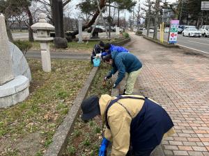 花壇の除草作業をしています（写真）