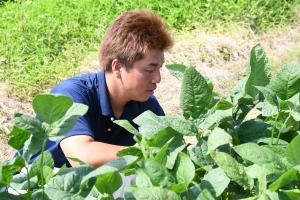 福原真大さんの枝豆の農作業風景（写真）